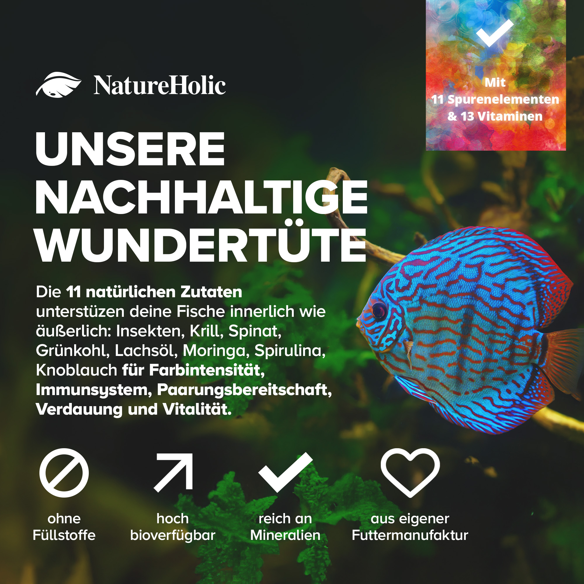 Bunter Diskusfisch vor Text zur nachhaltigen Wundertüte